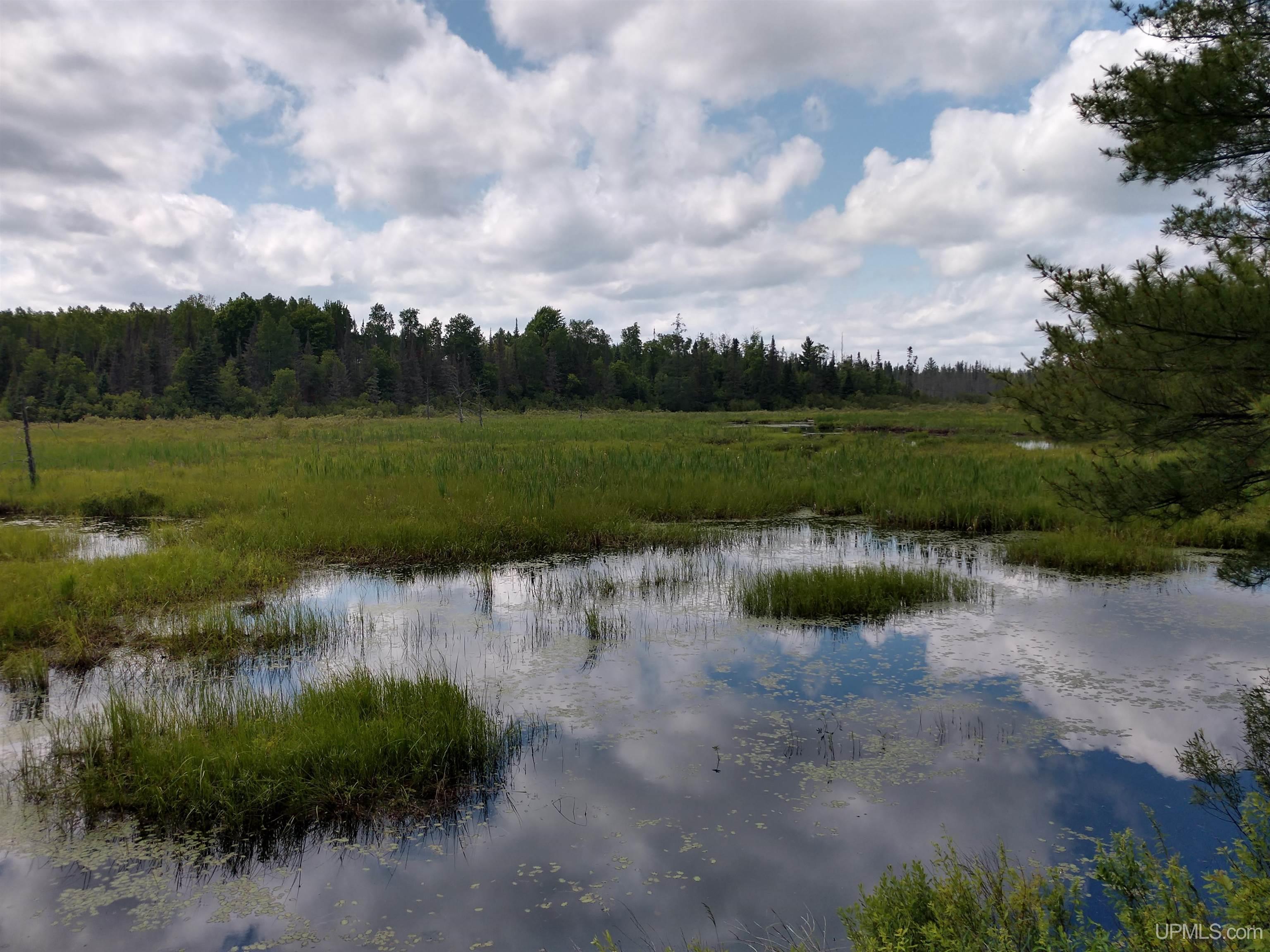 601 County Road 601 Road Republic, MI 49879 - Photo 16 of 60