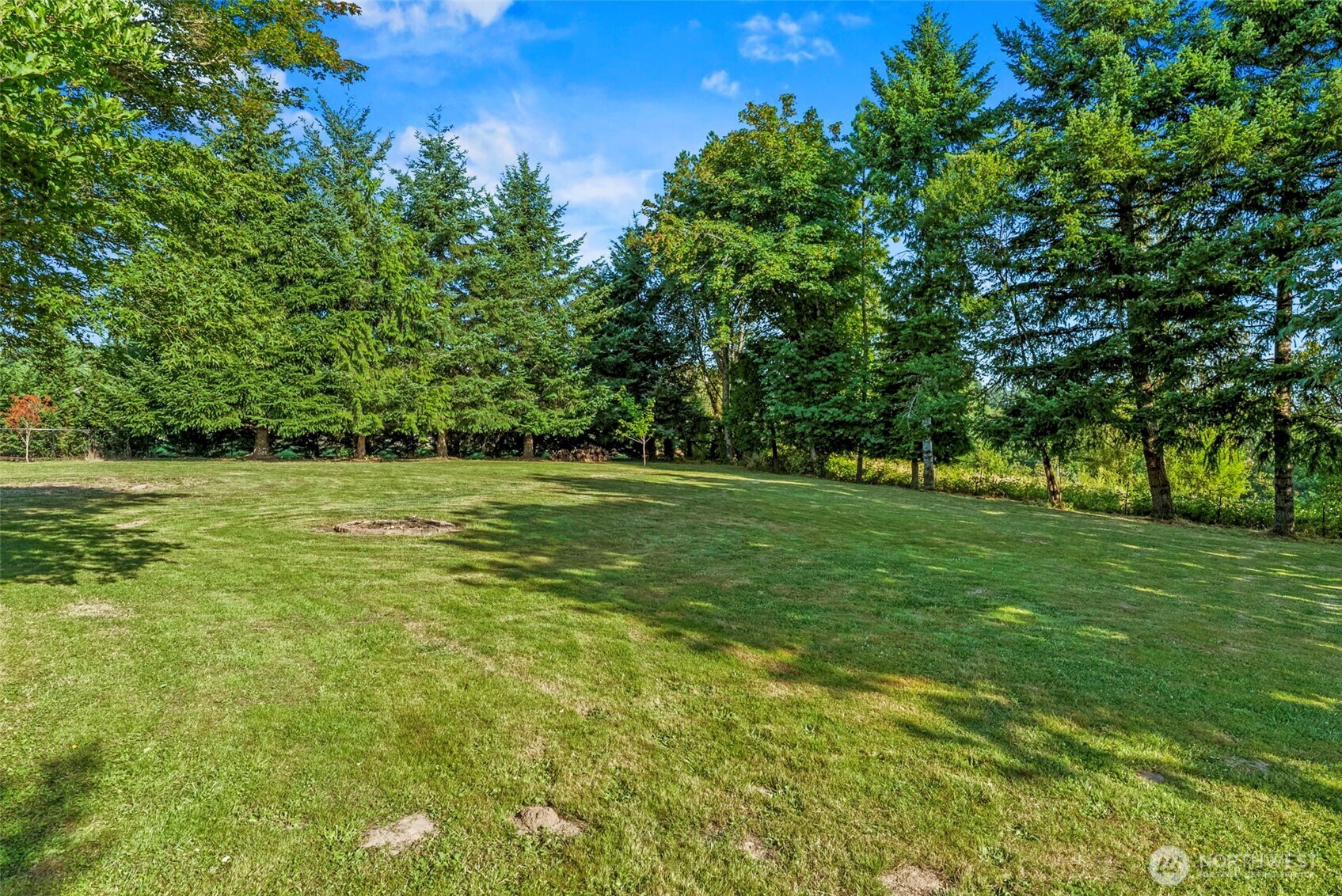 202 Waters Road Castle Rock, WA 98611 - Photo 18 of 38 a view of a green field with trees