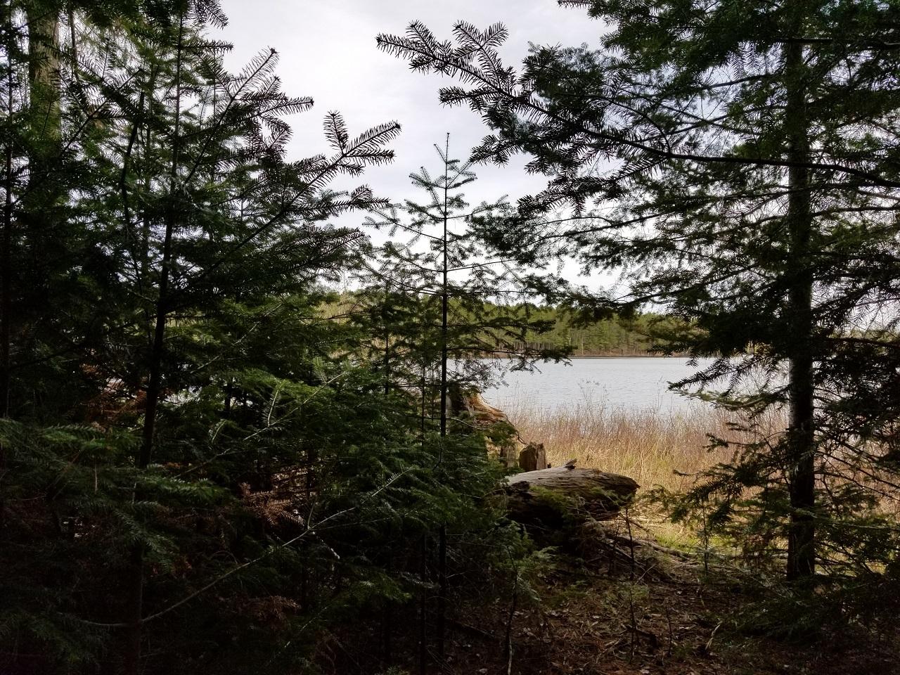 Lot A Jones Road Mercer, WI 54547 - Photo 2 of 18 Gallery Image 2