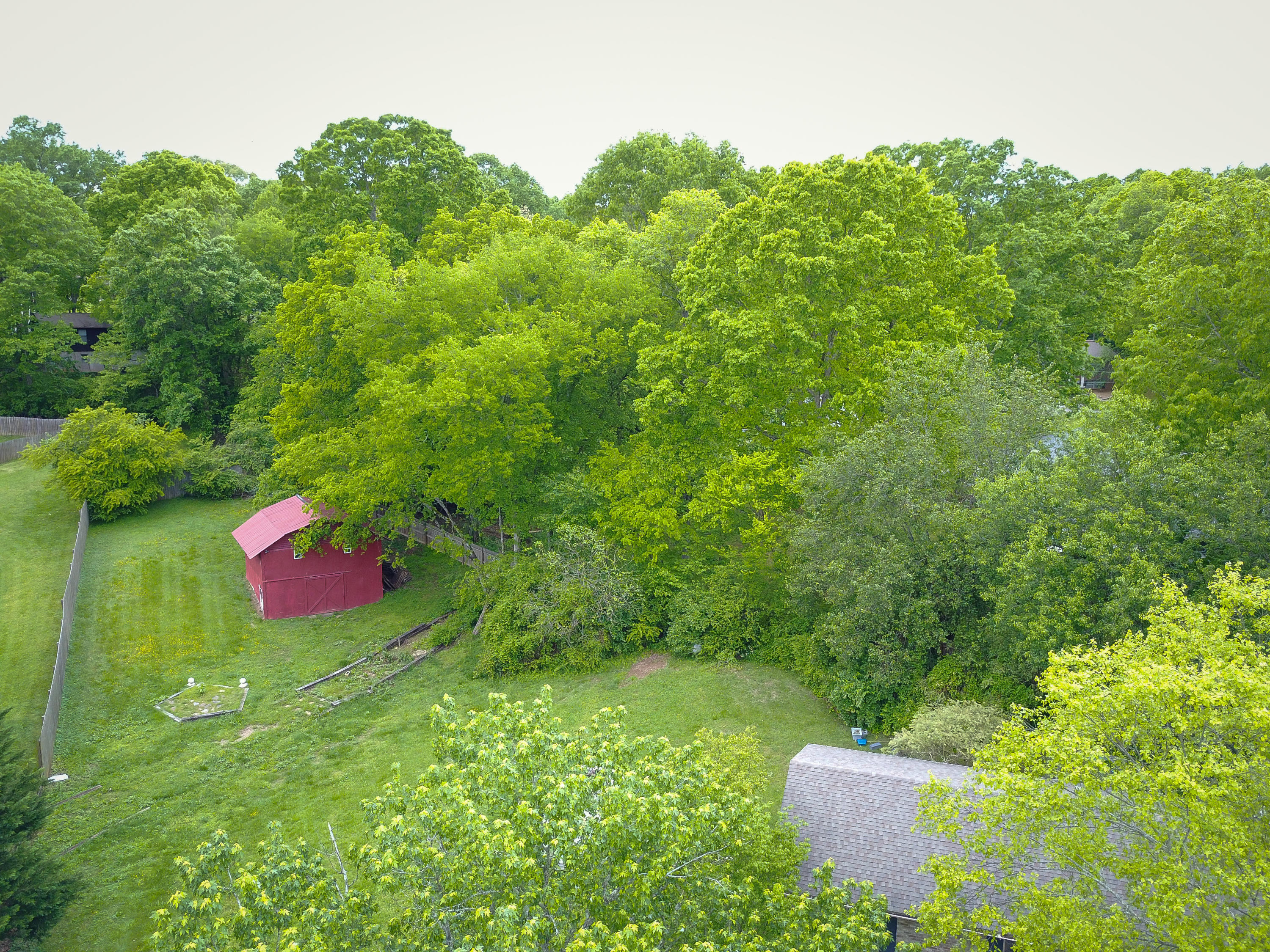 1633 Hart Road Knoxville, TN 37922 - Photo 38 of 40 Back Yard