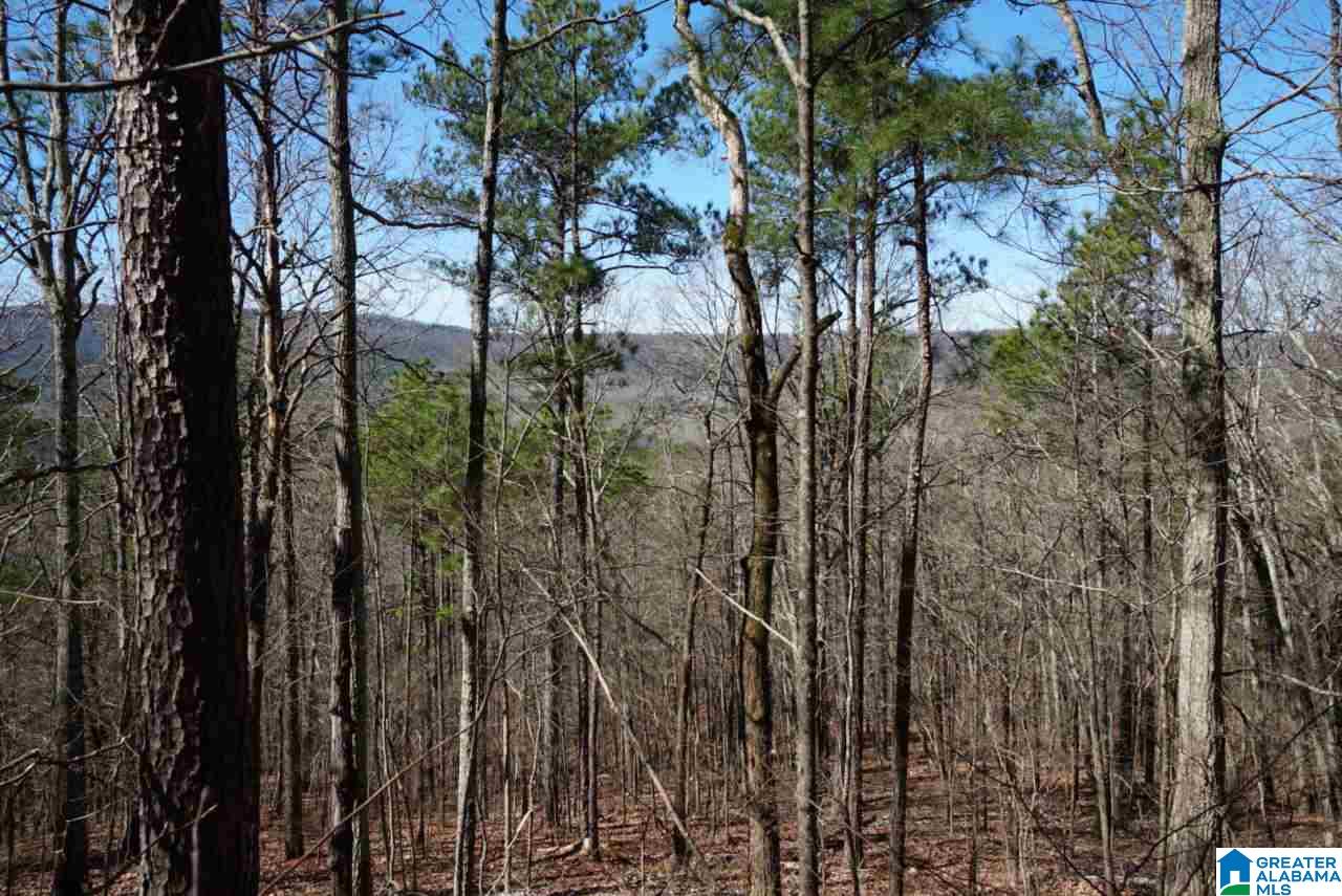 Mystic Valley View, Unit 1 Sterrett, AL 35147 - Photo 27 of 33