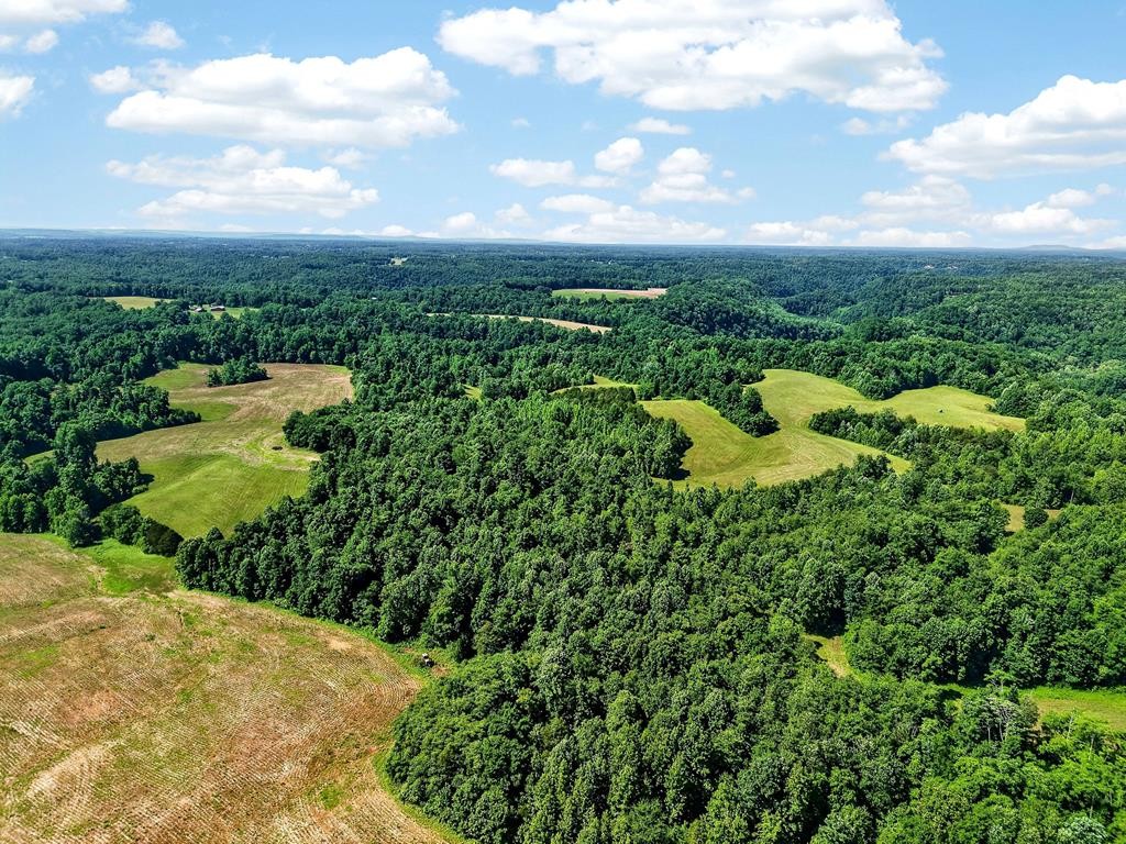 0 Massa Road Baxter, TN 38544 - Photo 17 of 22