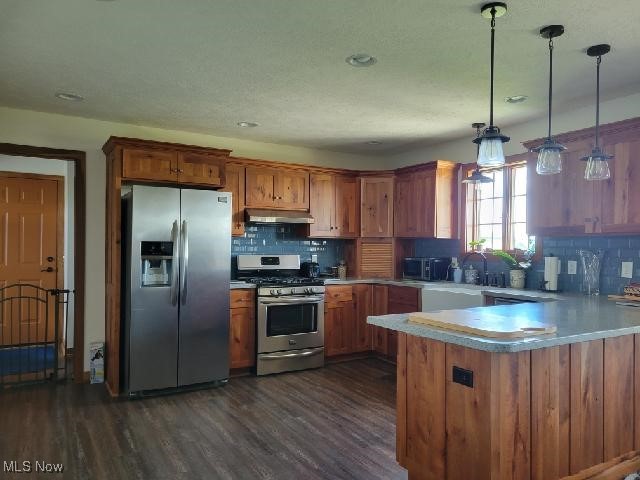 9915 Acme Road Rittman, OH 44270 - Photo 8 of 22 Kitchen with stainless steel appliances, dark hardwood / wood-style flooring, kitchen peninsula, decorative backsplash, and hanging light fixtures