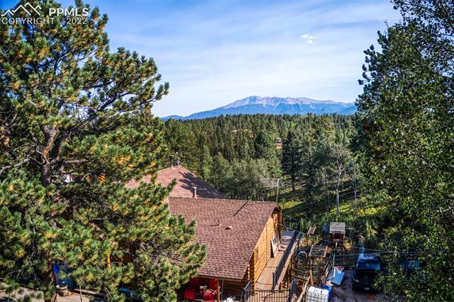 396 Ridge Road Divide, CO 80814 - Photo 4 of 40 Gallery Image 4
