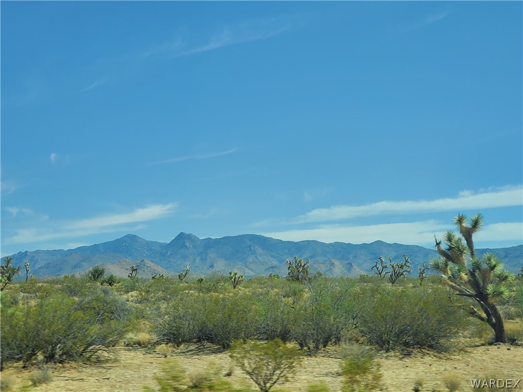 0 South Roadrunner Road Yucca, AZ 86438 - Photo 3 of 6 Gallery Image 3