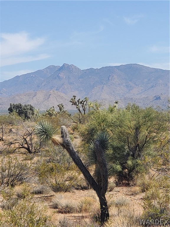 0 South Roadrunner Road Yucca, AZ 86438 - Photo 4 of 6 Gallery Image 4