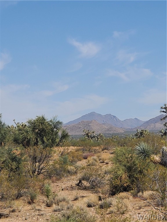 0 South Roadrunner Road Yucca, AZ 86438 - Photo 6 of 6 Gallery Image 6