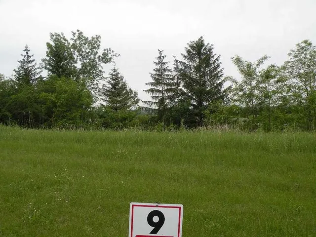 $39,900 | 1068 Combe Street, Ripon, WI 54971