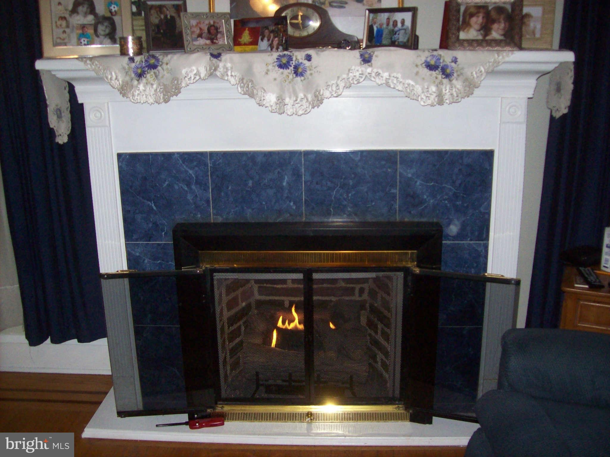 2905 Alden Road Baltimore, MD 21234 - Photo 7 of 28 Living Room