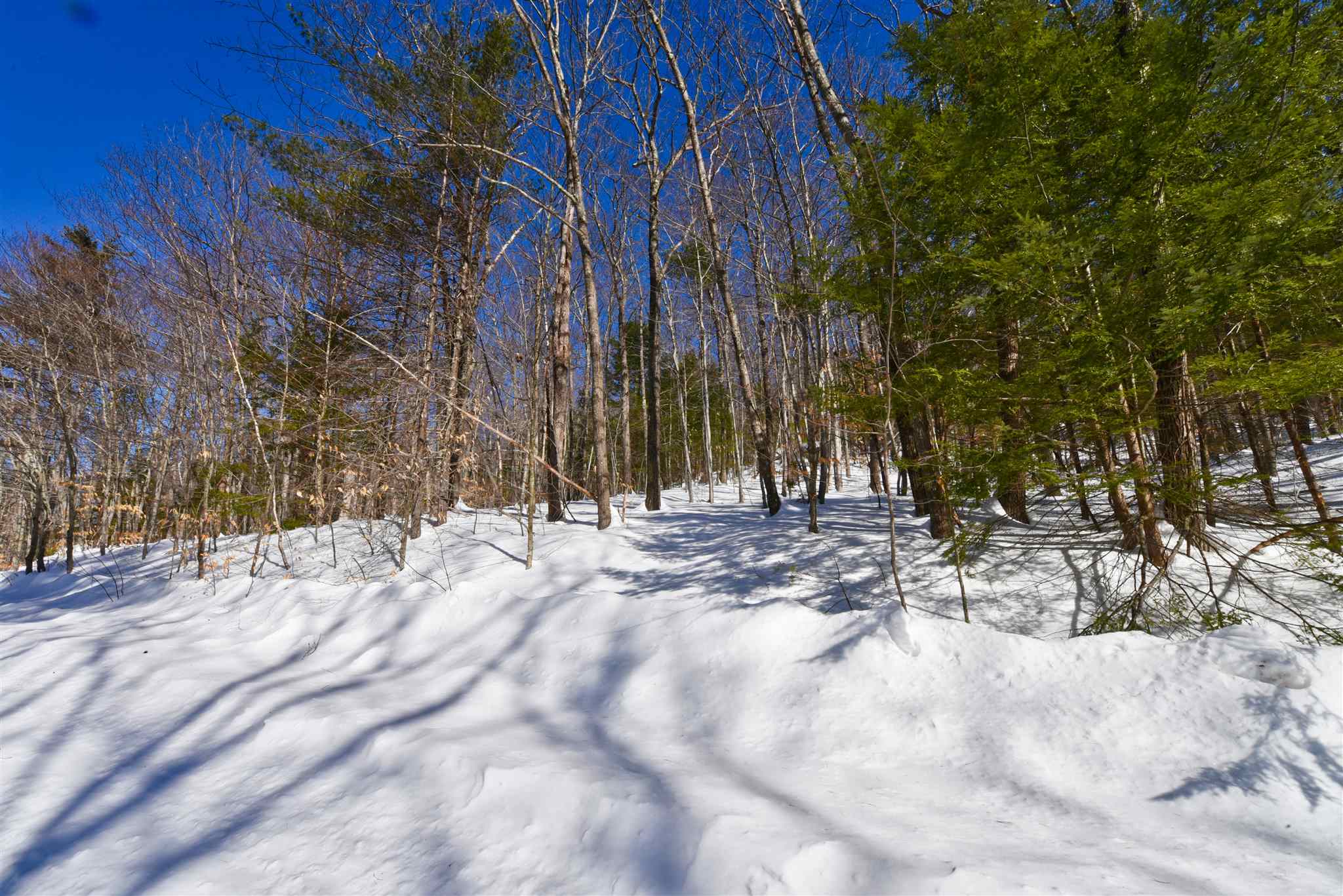 7 A Jungfrau Road Madison, NH 03849 - Photo 1 of 6