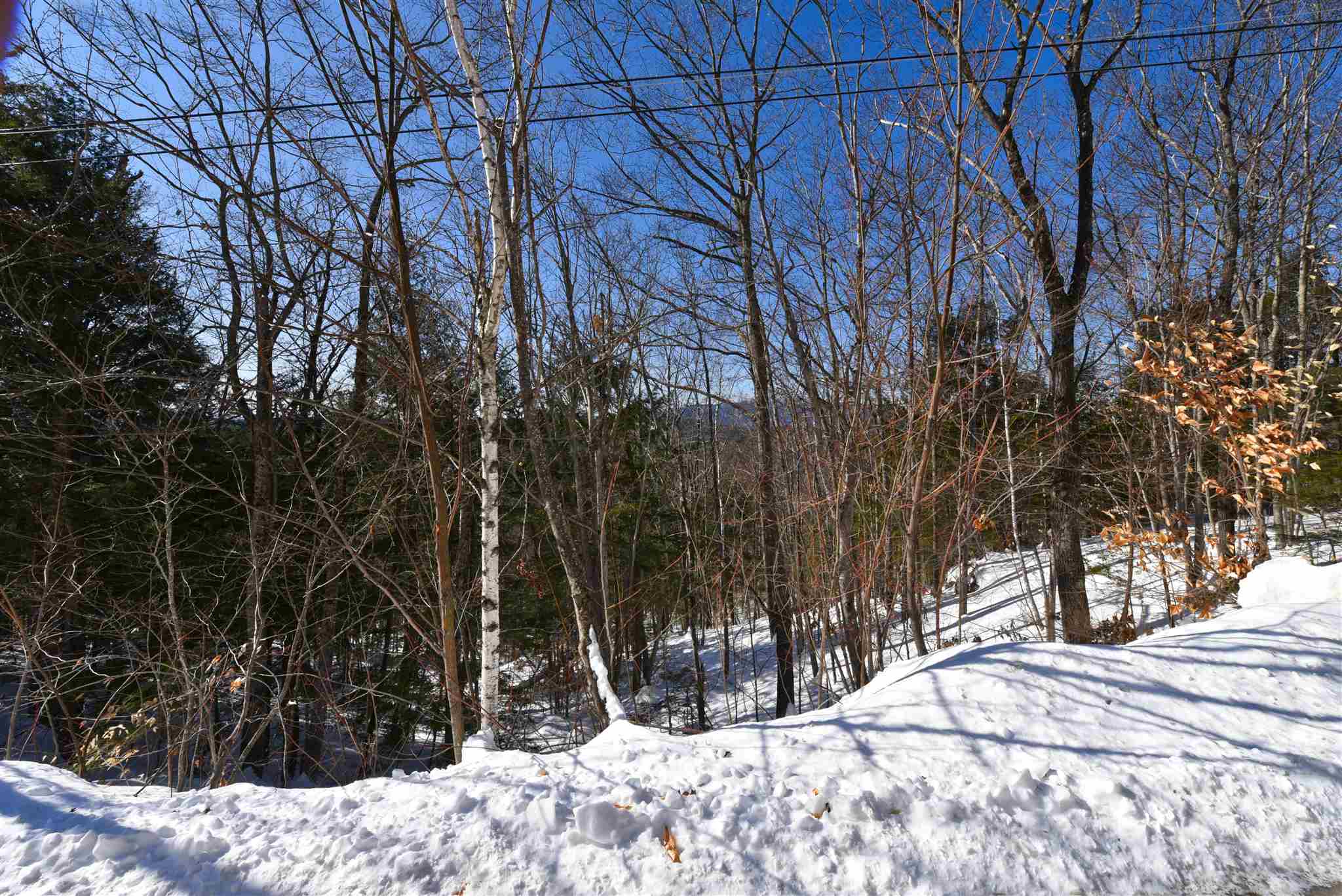 7 A Jungfrau Road Madison, NH 03849 - Photo 4 of 6