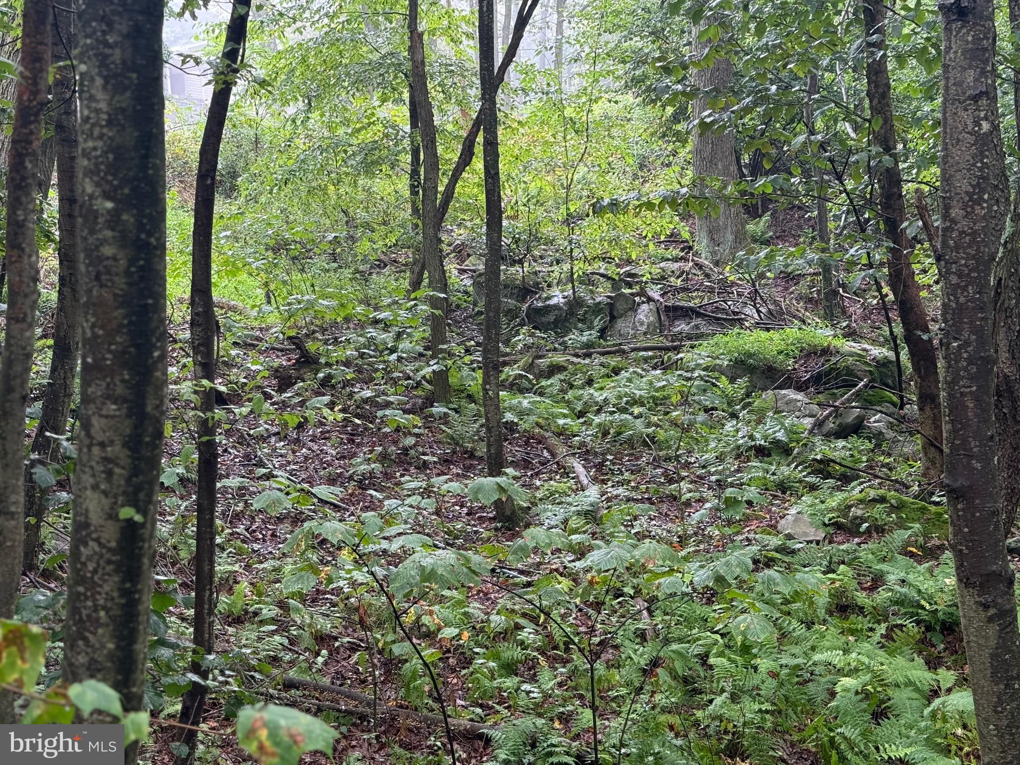 0 Pinnacle Road Keyser, WV 26726 - Photo 29 of 61