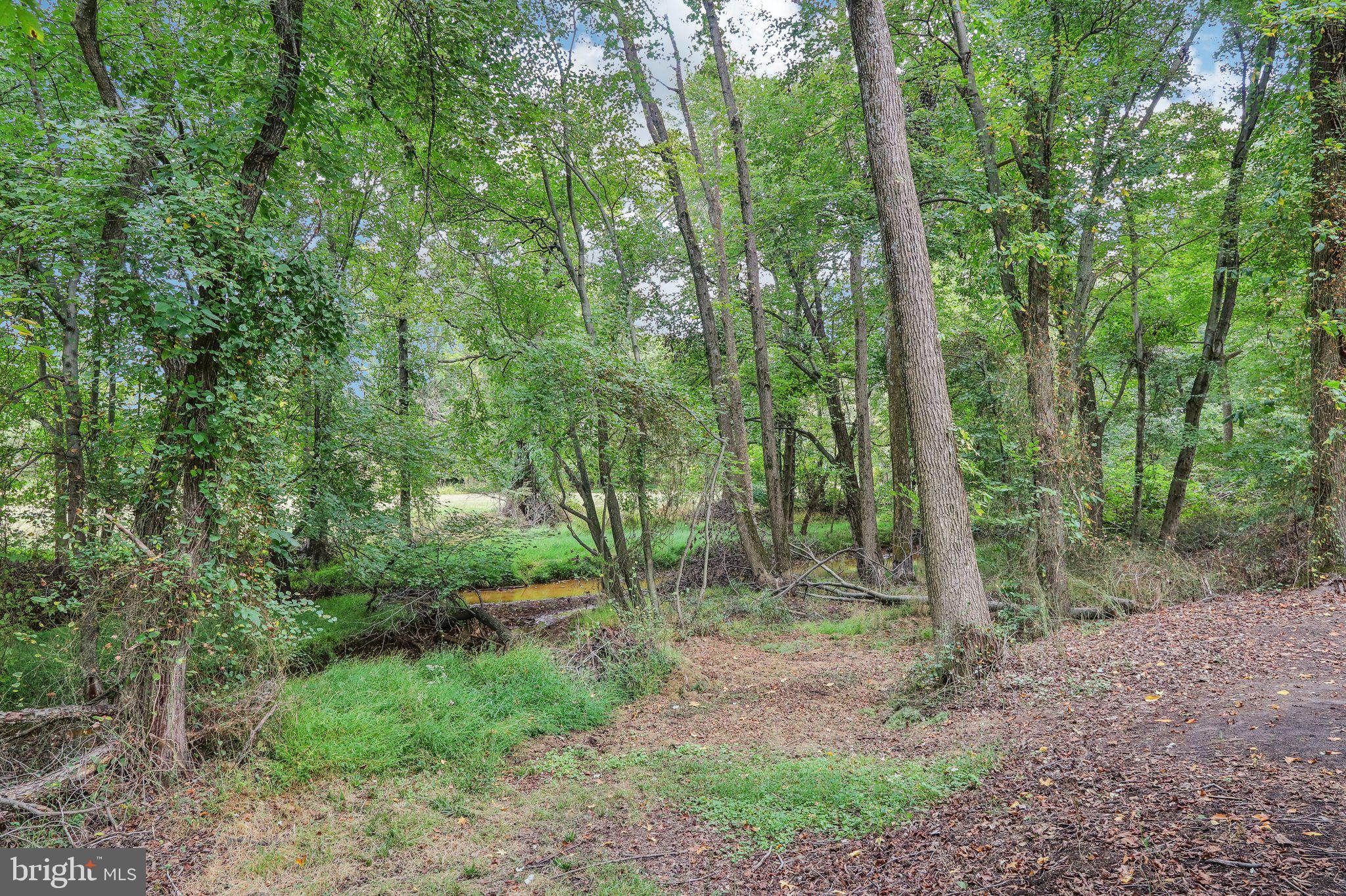 23 Abington Road Mount Laurel, NJ 08054 - Photo 59 of 75 Private tree lined yard meanders down to a stream