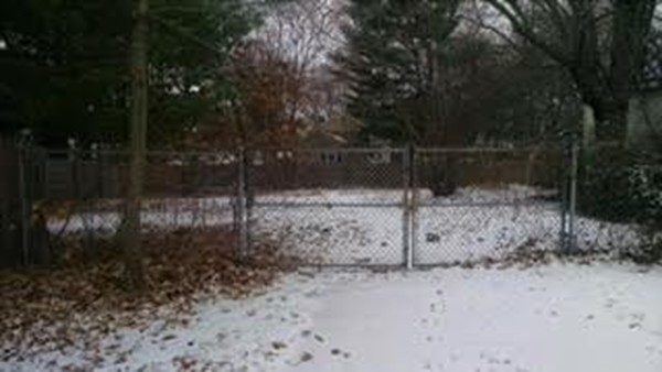 280 Dwight Road Springfield, MA 01108 - Photo 14 of 21 a view of yard