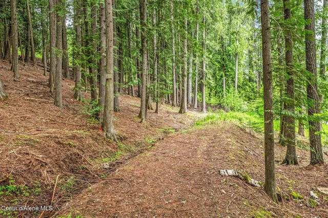 $2,300,000 | 130 Cedar Shoals Road, Sagle, ID 83860