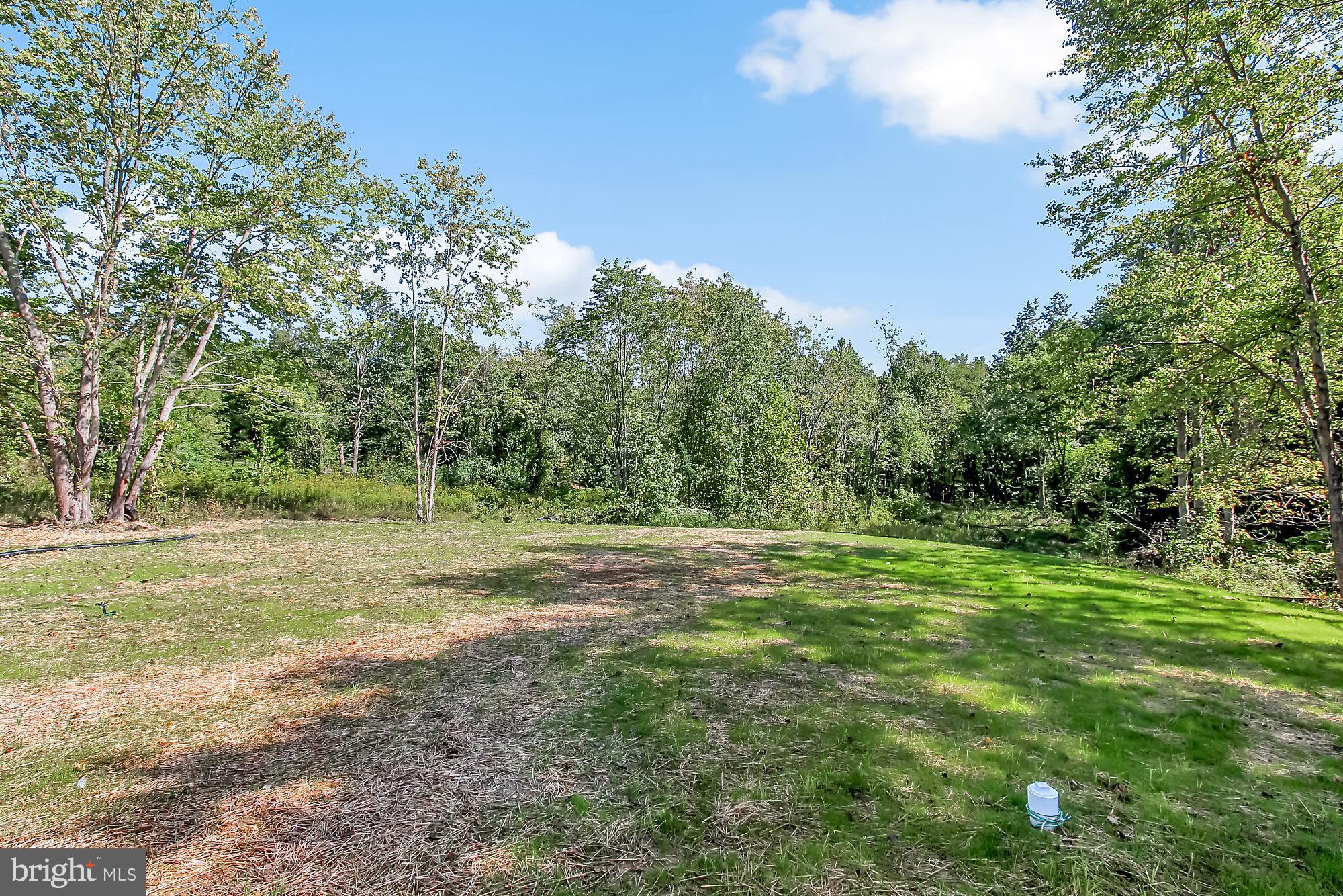 513 Dembytown Road Joppa, MD 21085 - Photo 22 of 25 Back to woods