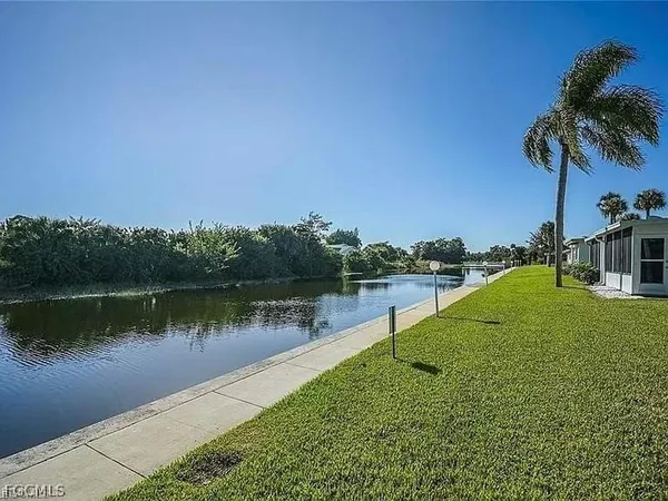 a lake with palm trees