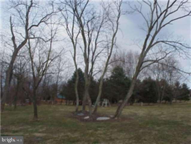 2195 County Line Road Dillsburg, PA 17019 - Photo 4 of 7 Gallery Image 4