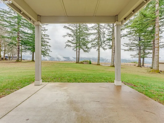 a view of a house with backyard and a tree