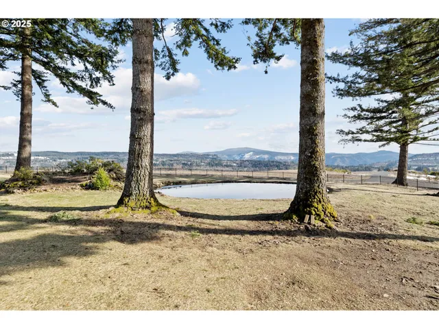 a view of a swimming pool with a yard
