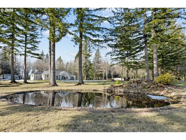 a view of a yard with an outdoor space
