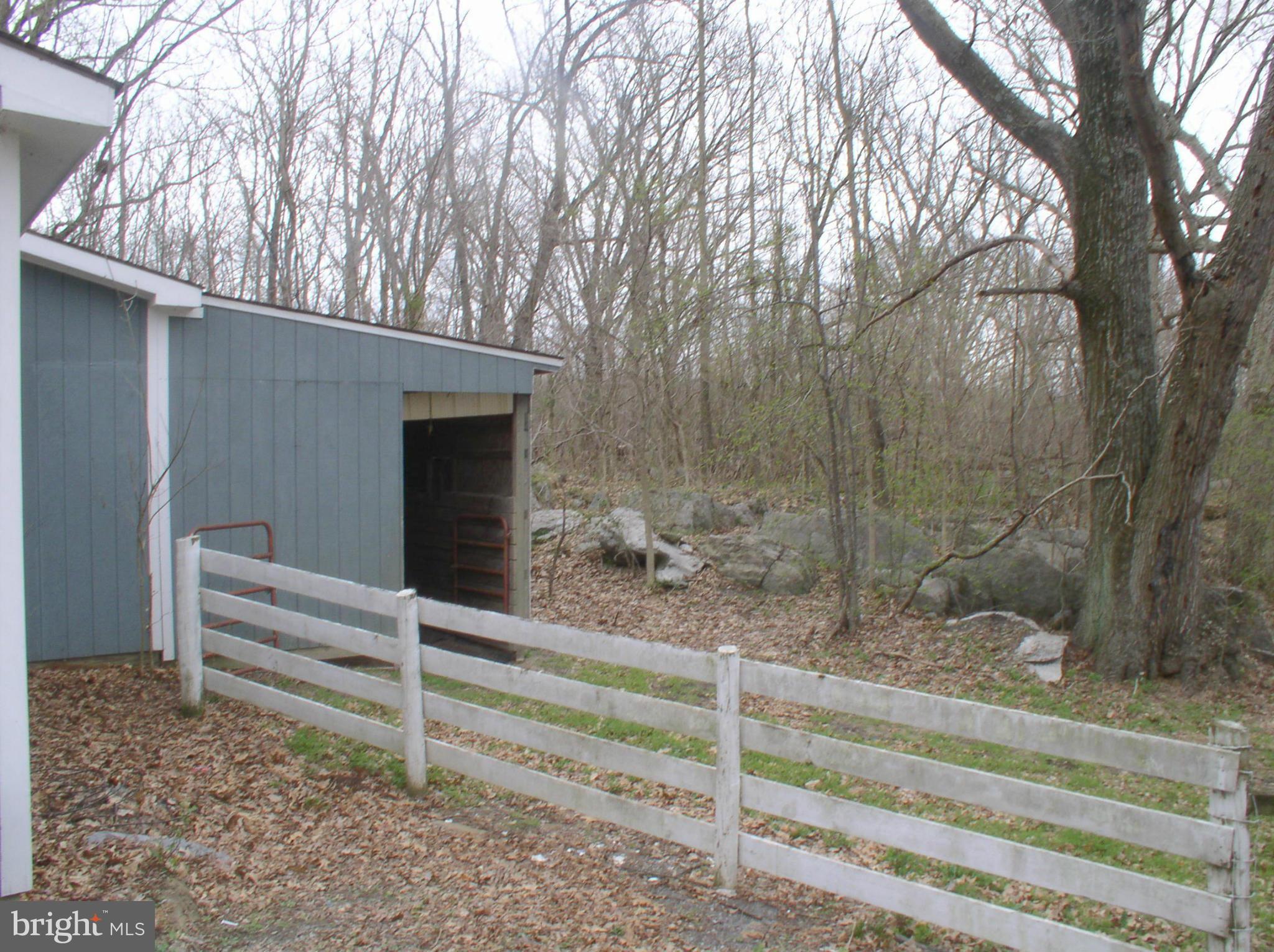 1493 Russell Road Berryville, VA 22611 - Photo 9 of 30 Exterior (Rear)