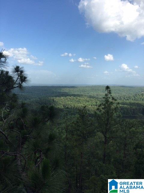 1 Old Oak Cove, Unit TRACT B Sterrett, AL 35147 - Photo 1 of 1