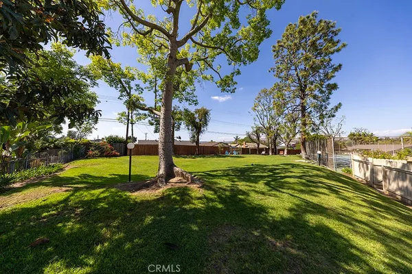 a view of a backyard