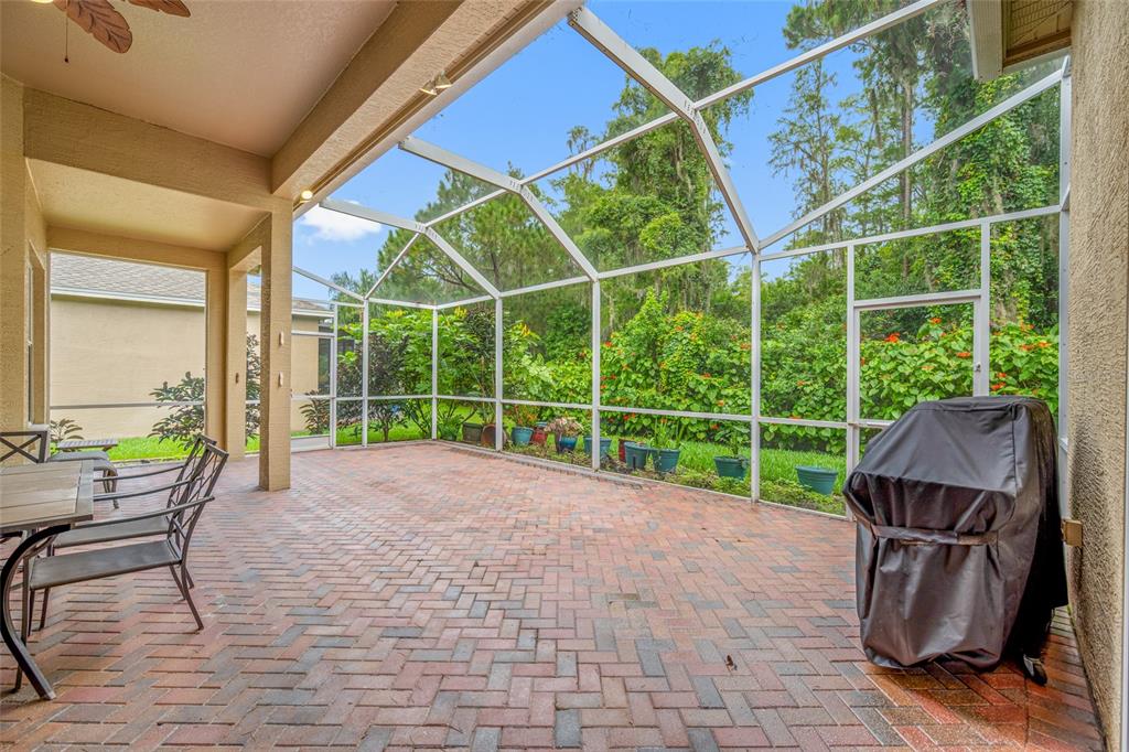11421 Strathaven Court Trinity, FL 34655 - Photo 55 of 91 Gallery Image 55