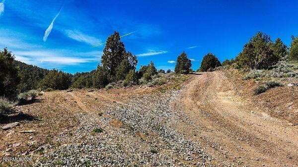 2120 Castle Peak Road Reno, NV 89521 - Photo 4 of 54 image