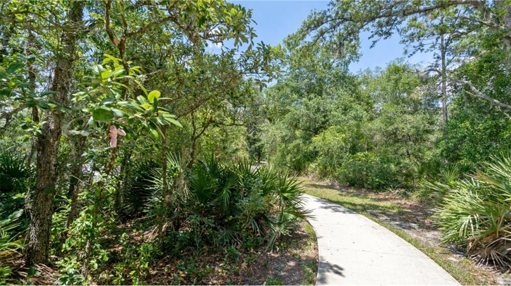10262 Hadley Street Orlando, FL 32829 - Photo 19 of 19 a view of a forest with a tree