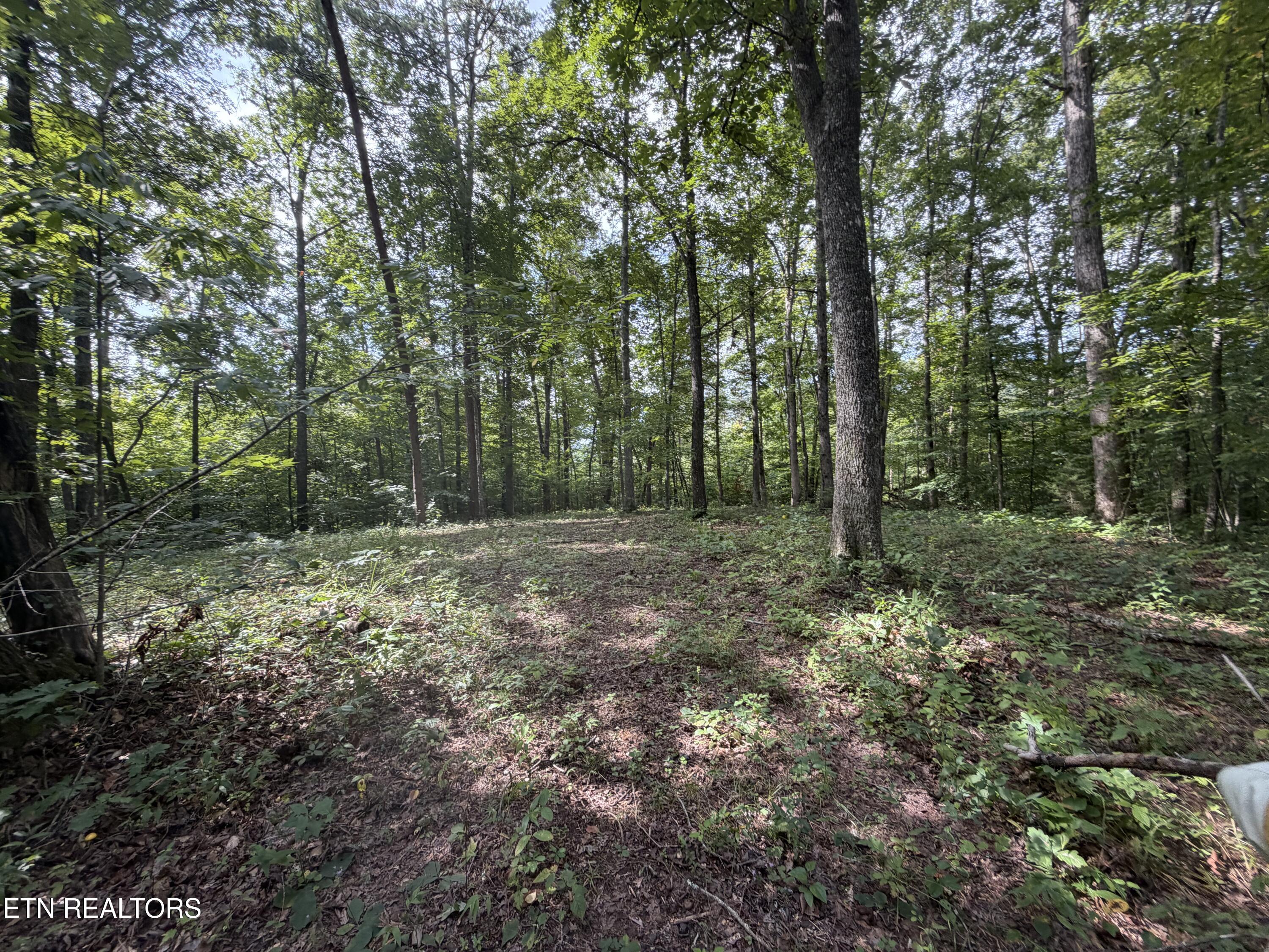 2544 Hinds Creek Road Heiskell, TN 37754 - Photo 24 of 27 IMG_0418