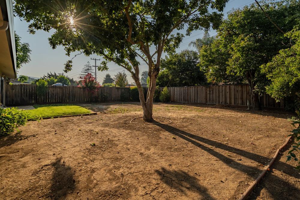 741 West 6th Street Gilroy, CA 95020 - Photo 29 of 29 a view of a backyard with a large tree