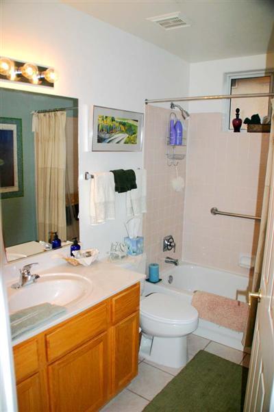 9165 East Dawn Post Road Tucson, AZ 85749 - Photo 8 of 10 a bathroom with a sink a toilet and a bathtub
