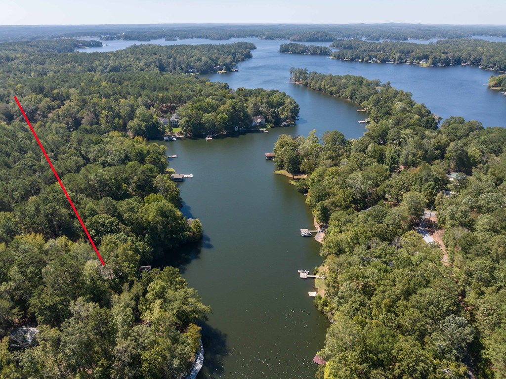 94 Hidden Trail Hamilton, GA 31811 - Photo 43 of 46 an aerial view of green landscape with trees houses and lake view