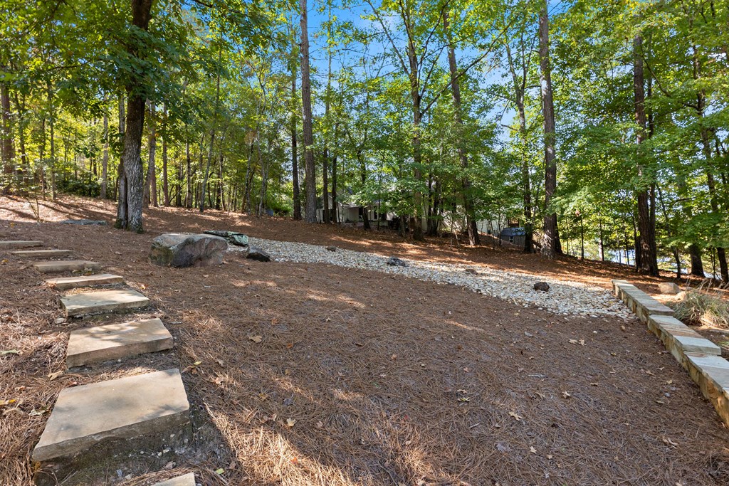 94 Hidden Trail Hamilton, GA 31811 - Photo 45 of 46 a view of road with trees