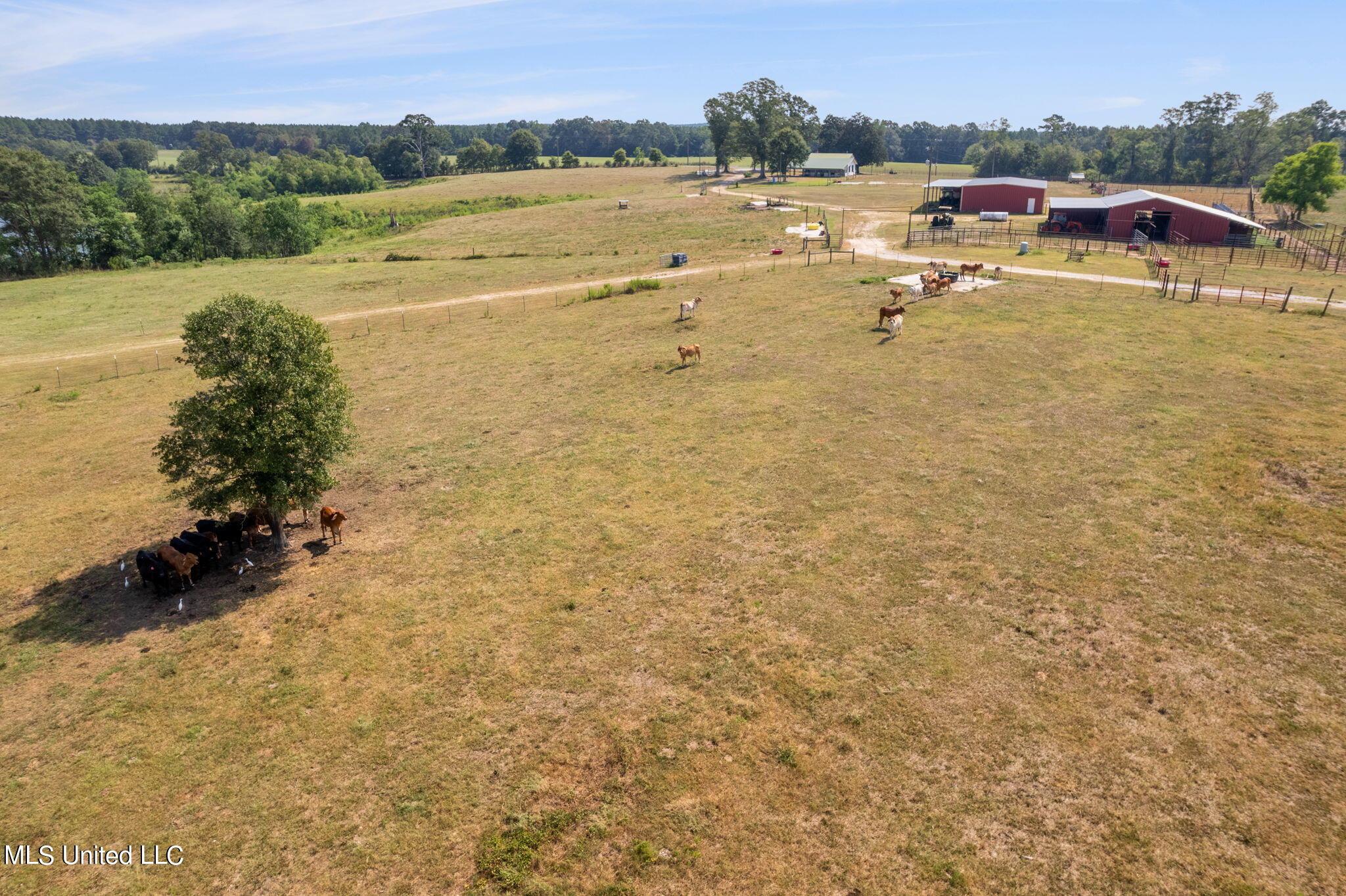 603 Osborn Moody Road Poplarville, MS 39470 - Photo 62 of 72 603_Osborn_Moody_Rd-64