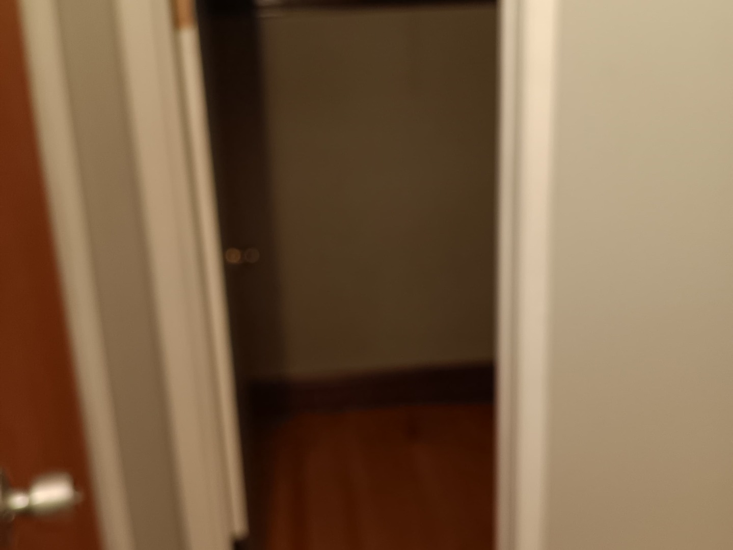 4846 South Pulaski Road, Unit 2 Chicago, IL 60632 - Photo 9 of 9 a view of a door