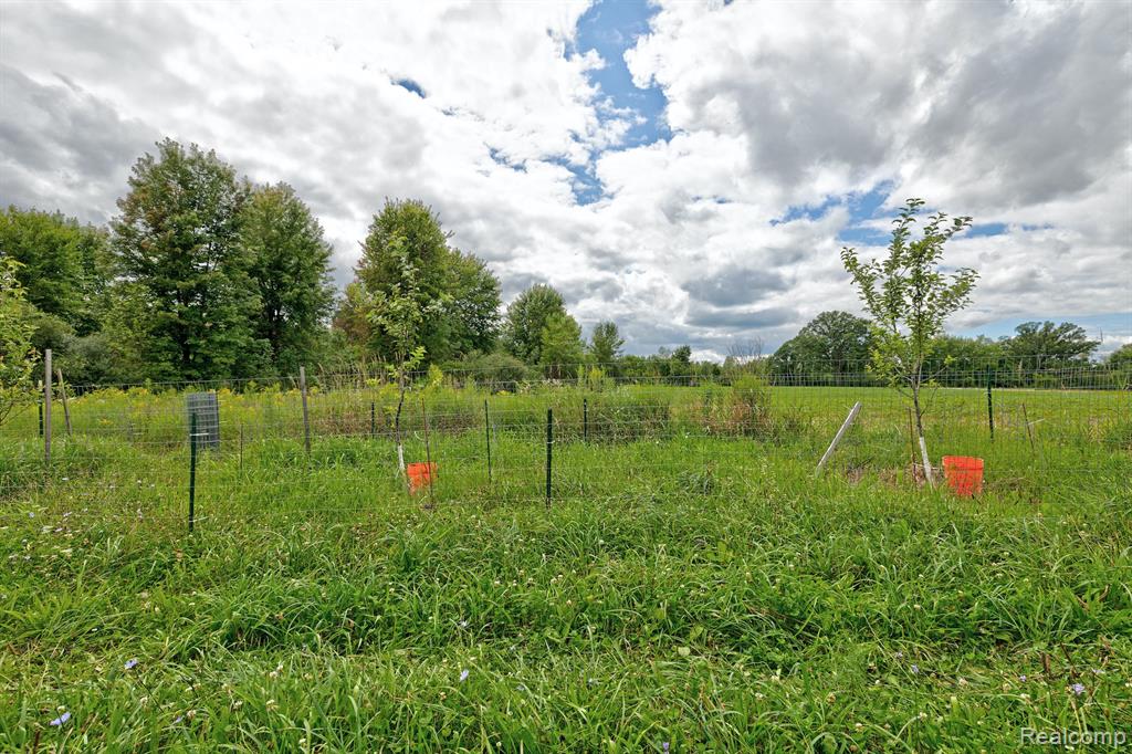 8910 Petz Road Imlay City, MI 48444 - Photo 49 of 62