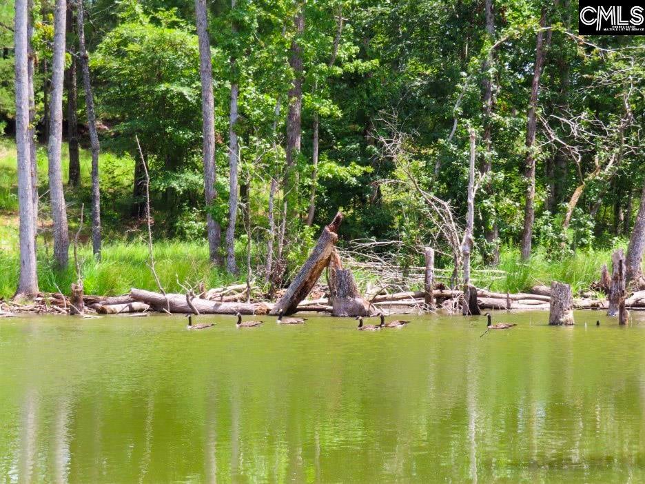529 Martin Road Winnsboro, SC 29180 - Photo 50 of 83 Gallery Image 50