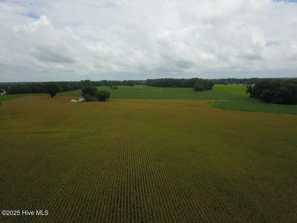 0 Lyman Road Chinquapin, NC 28521 - Photo 3 of 4 Rear