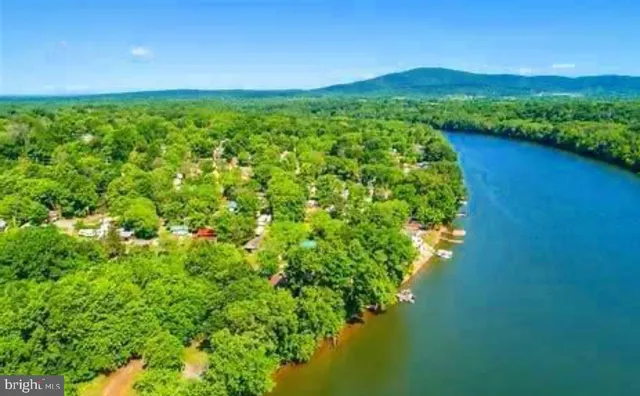 a view of a lush green outdoor space with a lake view