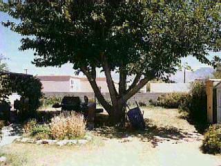 2012 North Santa Rosa Avenue, Unit 2012 Tucson, AZ 85712 - Photo 3 of 6