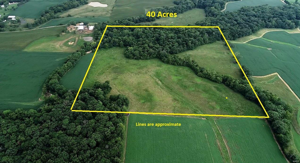 0 Chester Road Sparta, IL 62286 - Photo 1 of 23
