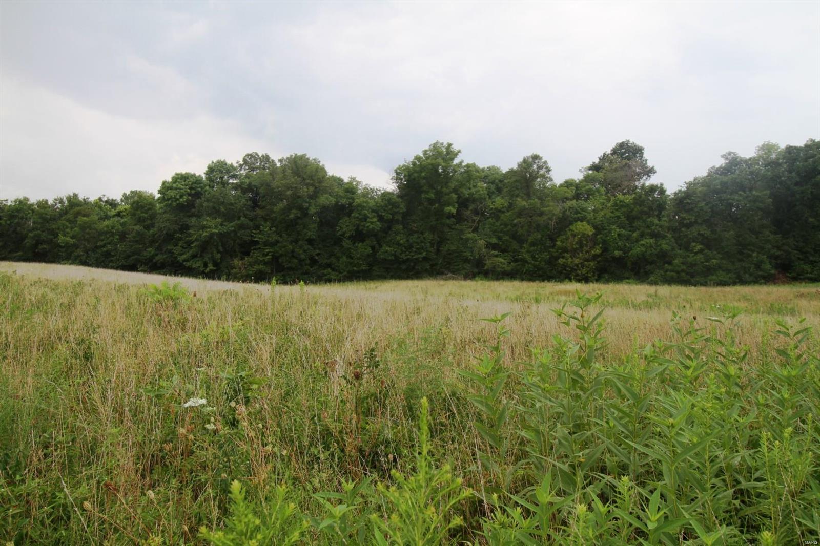 0 Chester Road Sparta, IL 62286 - Photo 12 of 23