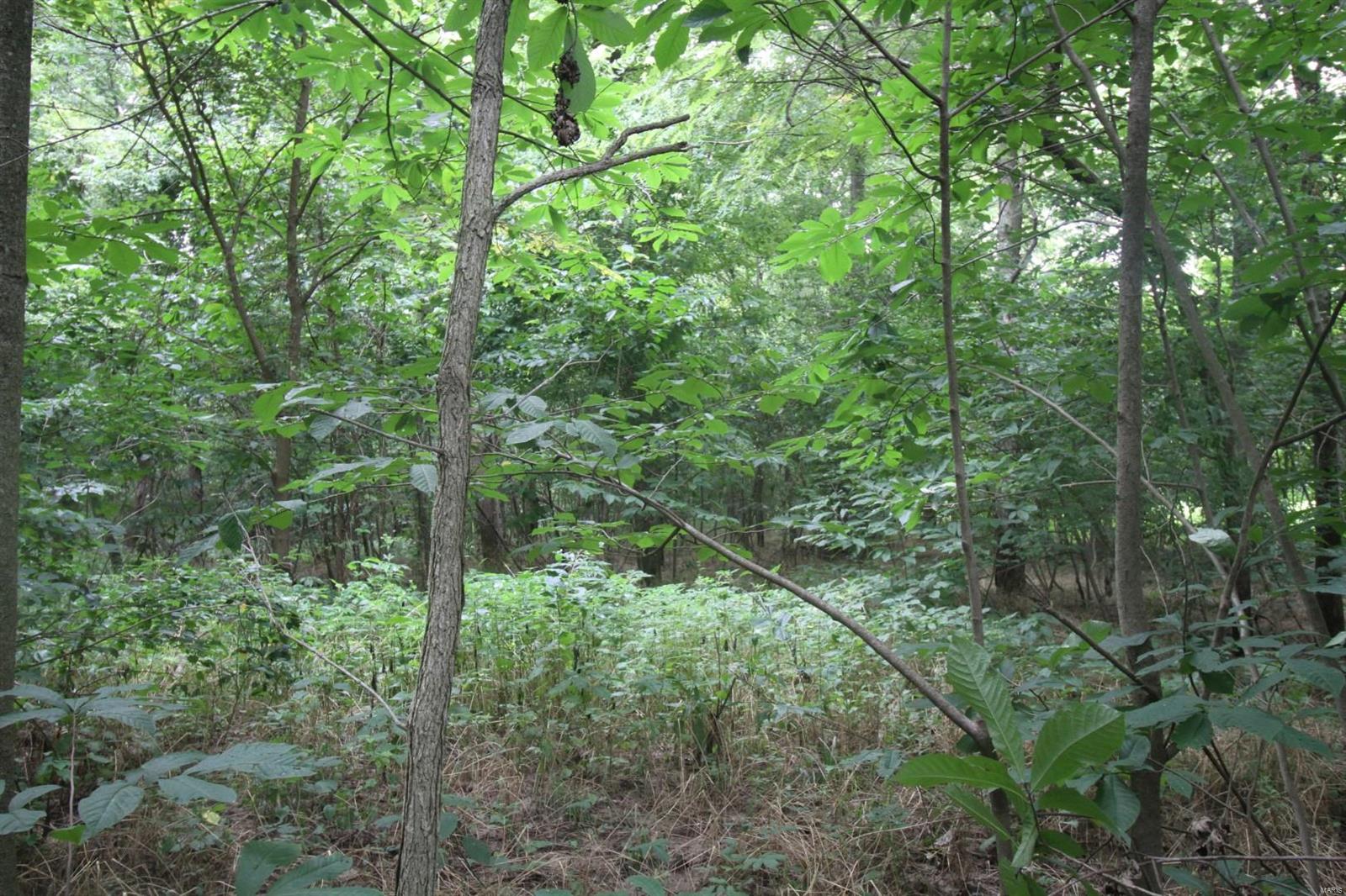 0 Chester Road Sparta, IL 62286 - Photo 20 of 23