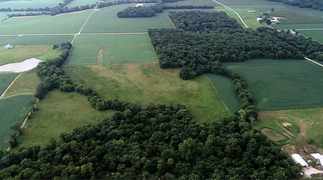 0 Chester Road Sparta, IL 62286 - Photo 3 of 23
