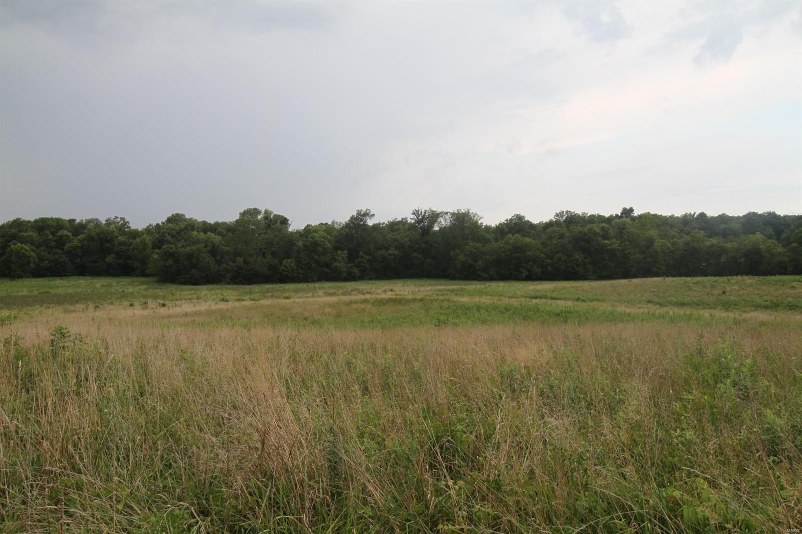 0 Chester Road Sparta, IL 62286 - Photo 6 of 23
