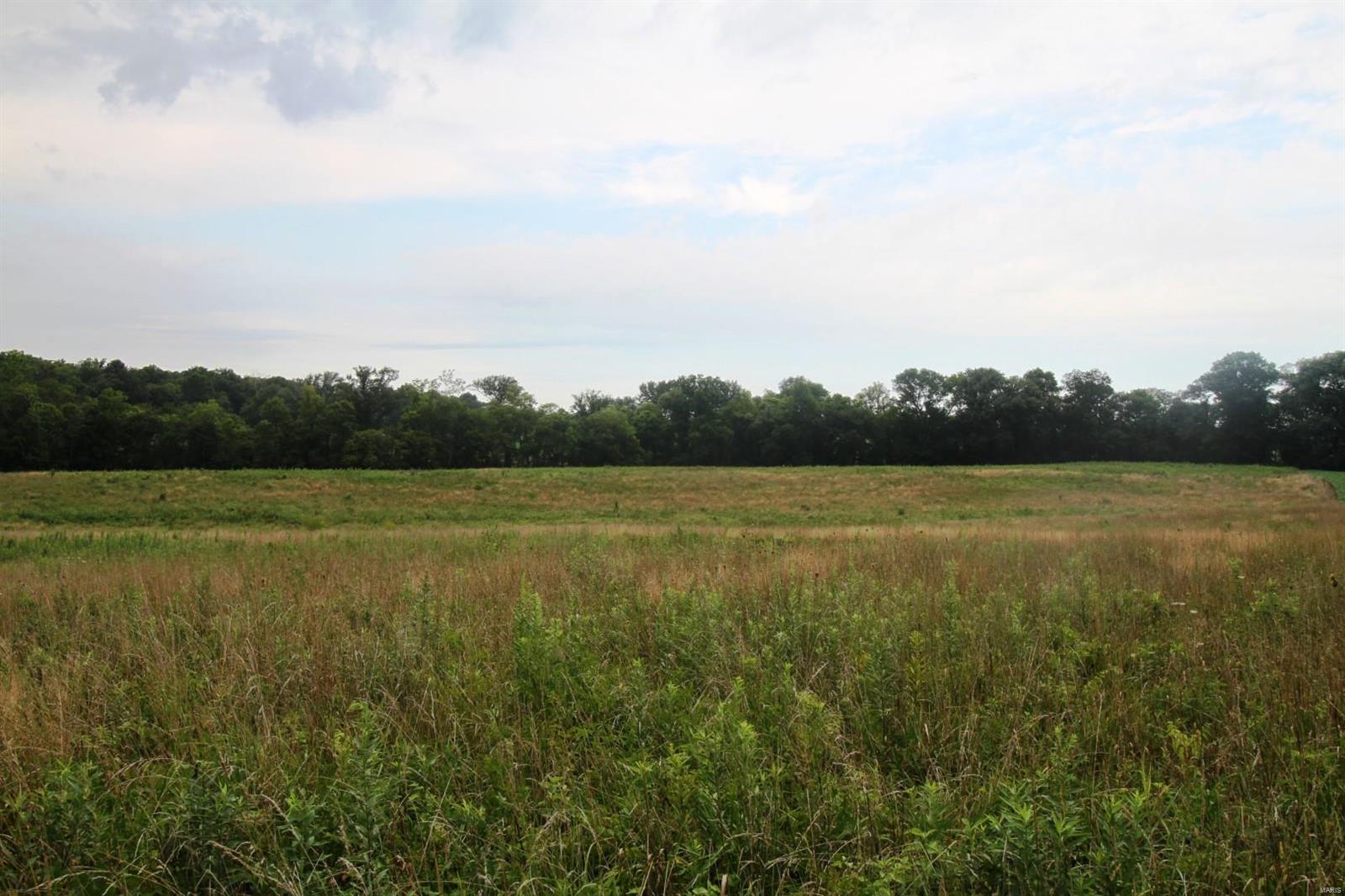 0 Chester Road Sparta, IL 62286 - Photo 8 of 23