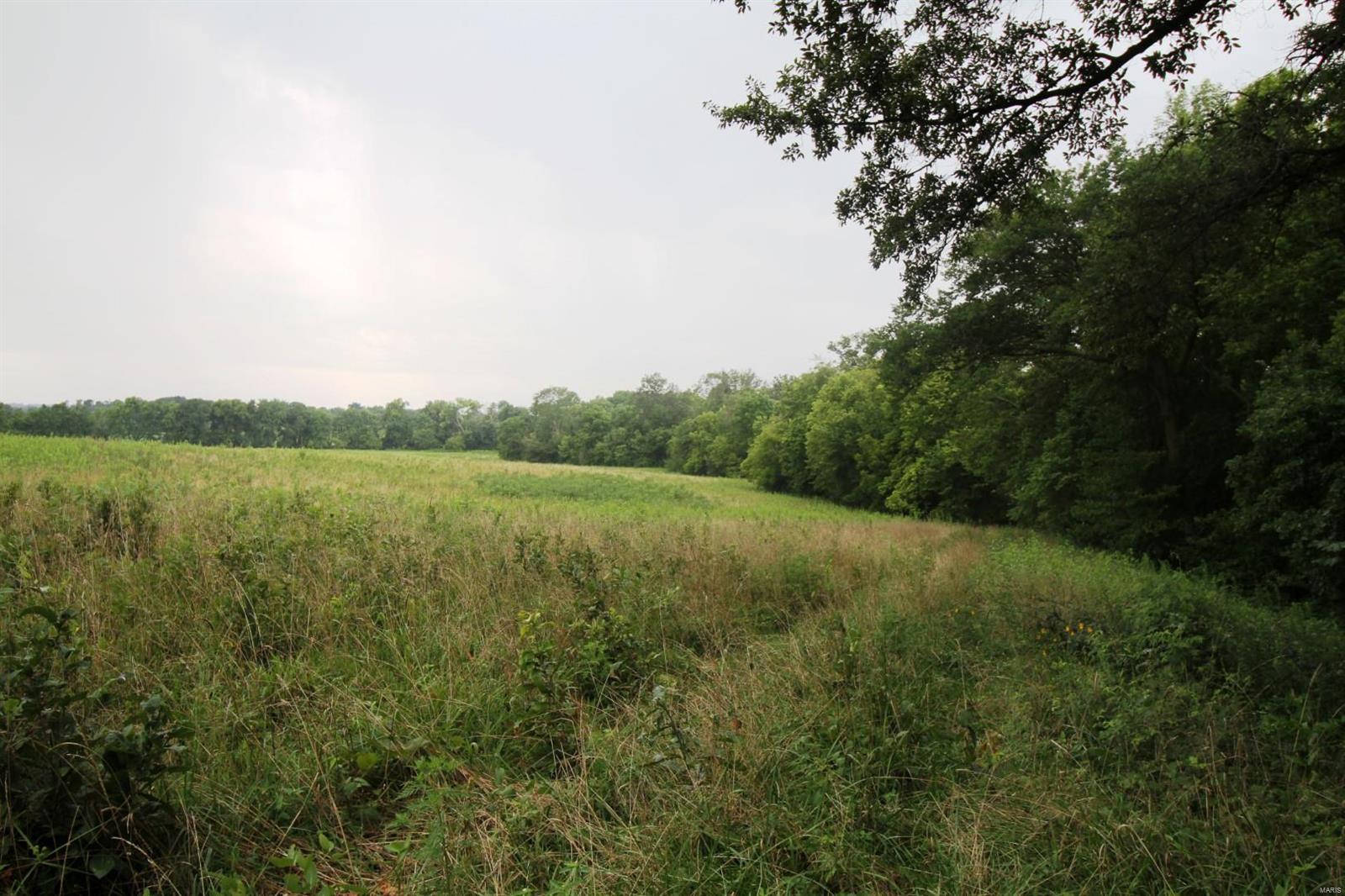 0 Chester Road Sparta, IL 62286 - Photo 10 of 23